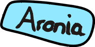 Aronia-Plantage