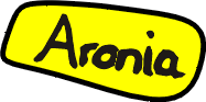 Aronia-Plantage